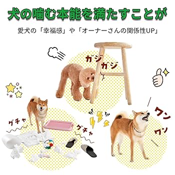 Amazon.co.jp: ディンゴ (Dingo) 犬 おやつ スパイラルチキン 18